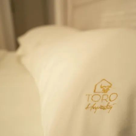 公寓 Toro Hospitality