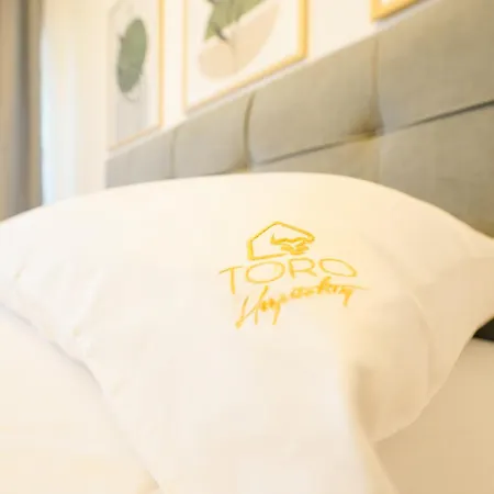 Toro Hospitality 公寓 莫斯塔尔