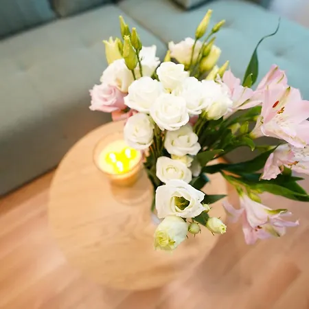 Toro Hospitality 公寓 莫斯塔尔